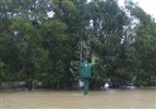 Yandina Creek - 2007 flood